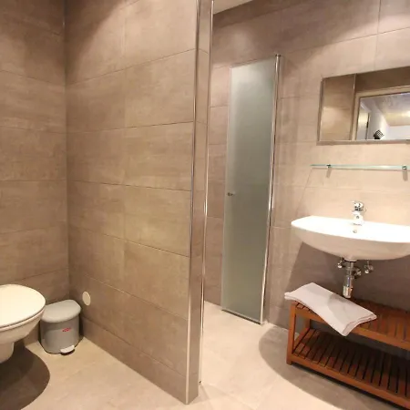 Spacious In Near Ski Area Hochkonig Daire